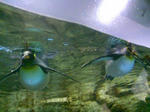 100425_123810.JPG
