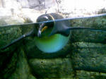 100425_123825.JPG