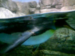 100425_123855.JPG