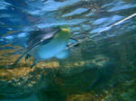 100425_124007.JPG