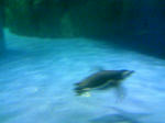 100425_124400.JPG