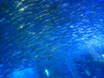 100425_124645.JPG