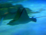 100425_124748.JPG