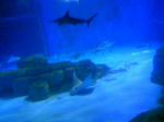 100425_124830.JPG