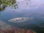 100425_125056.JPG
