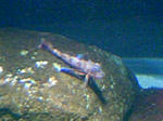 100425_125606.JPG