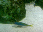 100425_125711.JPG