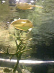 100425_130316.JPG