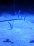 100425_130818.JPG