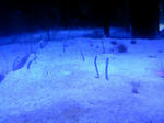 100425_130845.JPG