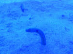 100425_130916.JPG