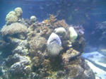 100425_131141.JPG