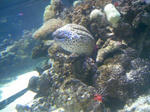 100425_131206.JPG