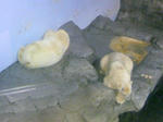 100425_131235.JPG