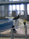 100425_133606.JPG