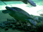 100425_141406.JPG