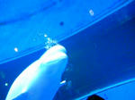 100425_172614.JPG