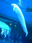 100425_172839.JPG