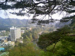 100504_152906.JPG