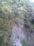 100504_153216.JPG
