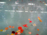 100505_112812.JPG