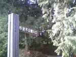 100505_150929.JPG