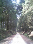 100505_130755.JPG