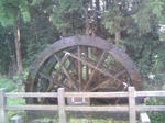 100505_131038.JPG