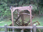 100505_131104.JPG