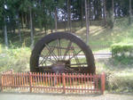 100505_132753.JPG