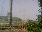 100505_132826.JPG