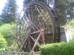 100505_133356.JPG