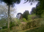 100505_133534.JPG