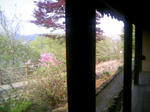 100505_144736.JPG
