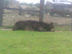 100530_124846.JPG