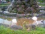 100530_133845.JPG