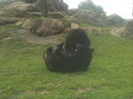 IMG_0360-3.JPG