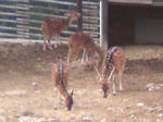 100530_134259.JPG