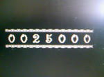 2500.JPG
