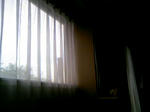 100815_060747.JPG