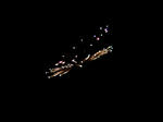 100810_193744.JPG