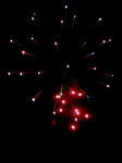 100810_200118.JPG