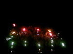100810_202013.JPG