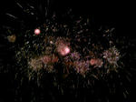 100810_202514.JPG