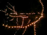 100822_201319.JPG