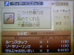 100510_014544.JPG