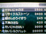 100605_041126.JPG
