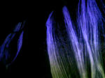 101121_191752.JPG
