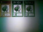 101125_002.JPG
