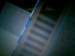 101230_030750.JPG